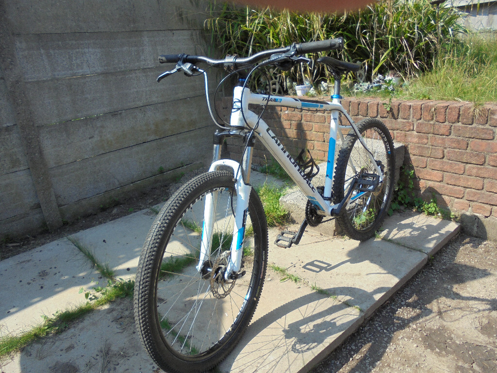 cannondale trail 6 white and blue